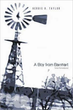 A Boy from Barnhart de Herbie R. Taylor