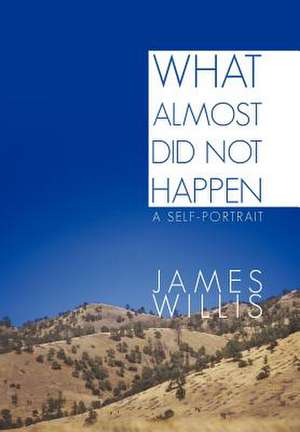 What Almost Did Not Happen de James Willis