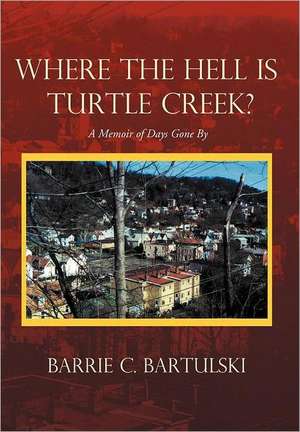 Where the Hell Is Turtle Creek? de Barrie C. Bartulski