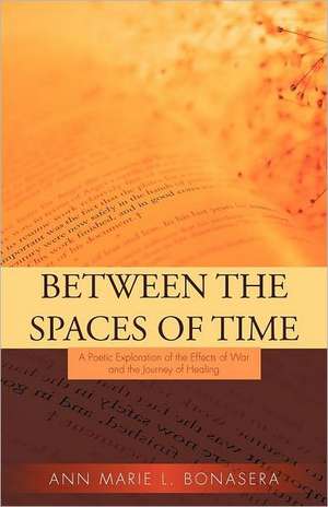 Between the Spaces of Time de Ann Marie L. Bonasera