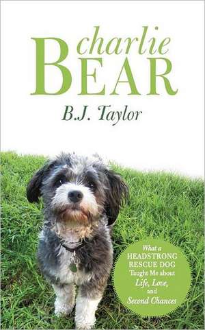 Charlie Bear de B. J. Taylor