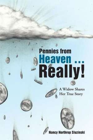 Pennies from Heaven ... Really! de Nancy Northrop Sluzinski