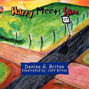 Harry Meets Sam de Denise G. Britan