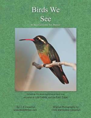 Birds We See de C. E. Llewellyn