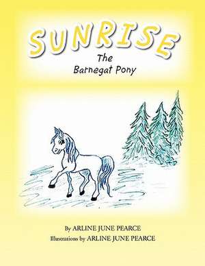 Sunrise the Barnegat Pony de Arline June Pearce