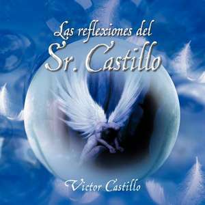 Las Reflexiones del Sr. Castillo de V. Ctor Castillo