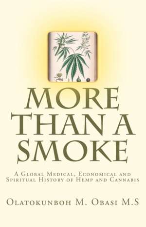 More Than a Smoke de Olatokunboh M. Obasi Msc