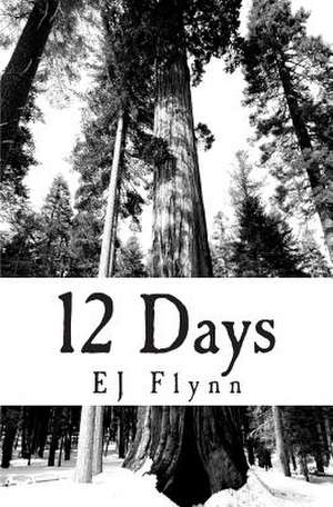 Twelve Days de Ej Flynn