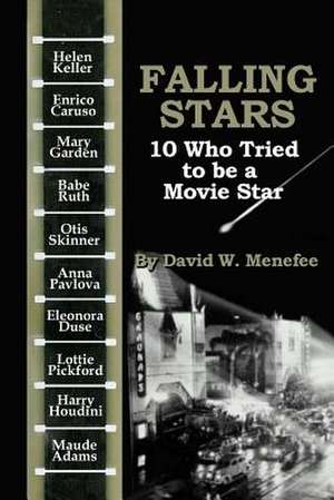 Falling Stars de David W. Menefee