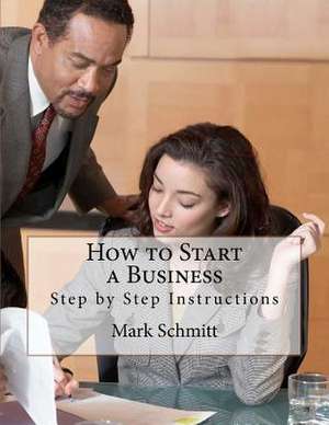 How to Start a Business de Mark Schmitt