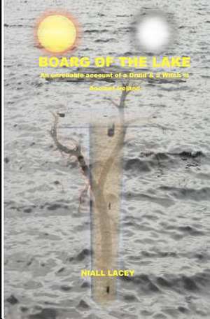 Boarg of the Lake de MR Niall Lacey