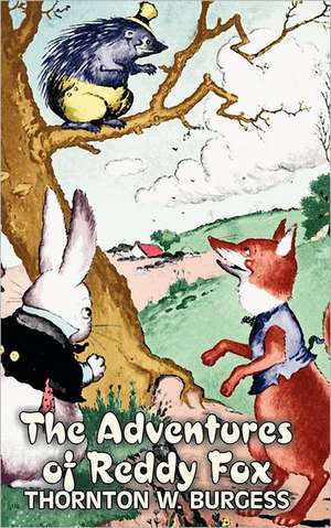 The Adventures of Reddy Fox de Thornton W. Burgess