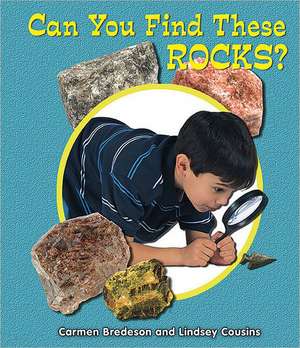 Can You Find These Rocks? de Carmen Bredeson