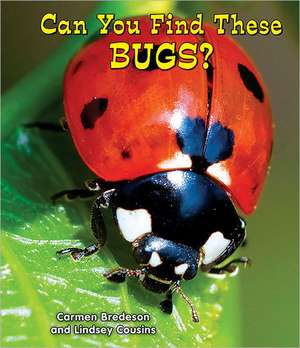 Can You Find These Bugs? de Carmen Bredeson