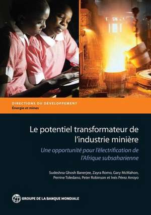 Le Potentiel Transformateur de L Industrie Miniere En Afrique de Sudeshna Ghosh Banerjee