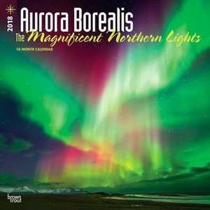 Aurora Borealis: the Magnificent Northern Lights 2018 Wall C