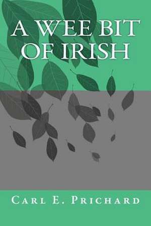 A Wee Bit of Irish de MR Carl E. Prichard