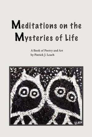 Meditations on the Mysteries of Life de Patrick J. Leach