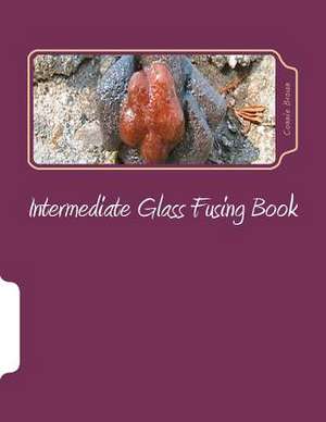 Intermediate Glass Fusing Book de Connie M. Brown