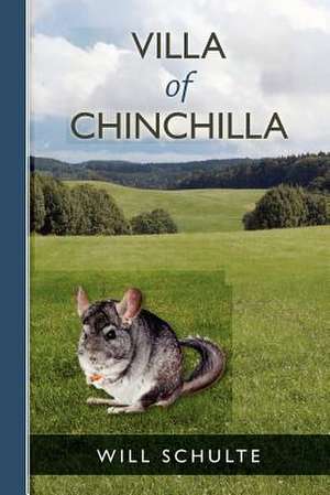 Villa of Chinchilla de Will Schulte