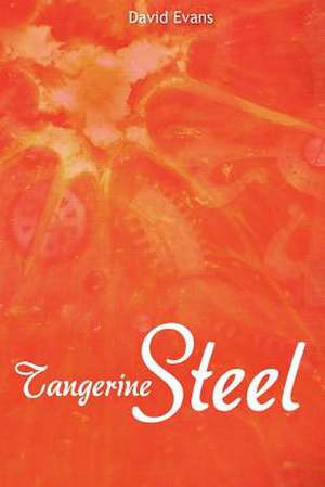 Tangerine Steel de David Evans