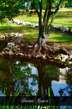 Divine Grace de Rev Edmund J. Wirth Ph. D. D. D.