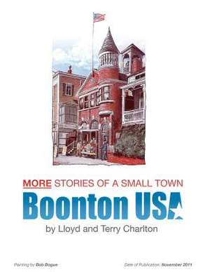 More Stories of a Small Town Boonton USA de Mrs Terry Charlton