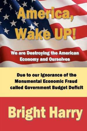 America, Wake Up! We Are Destroying the American Economy and Ourselves de Harry Bright