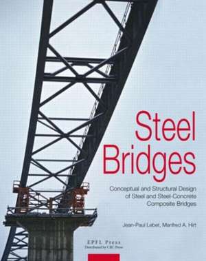 Steel Bridges de Manfred Hirt