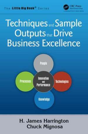 Techniques and Sample Outputs that Drive Business Excellence de H. James Harrington