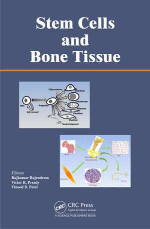 Stem Cells and Bone Tissue de Rajkumar Rajendram