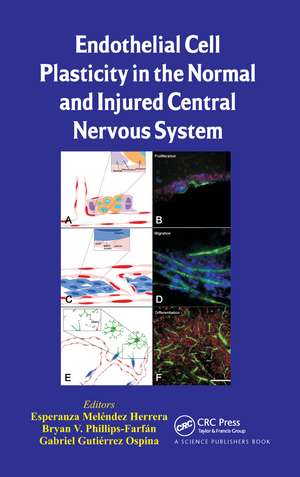 Endothelial Cell Plasticity in the Normal and Injured Central Nervous System de Esperanza Meléndez Herrera