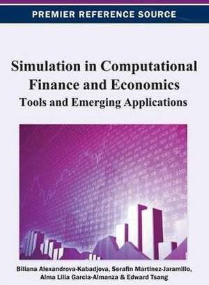 Simulation in Computational Finance and Economics de Kadabjova