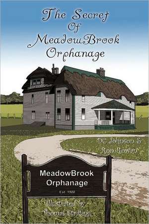 The Secret of Meadowbrook Orphanage de DC Johnson