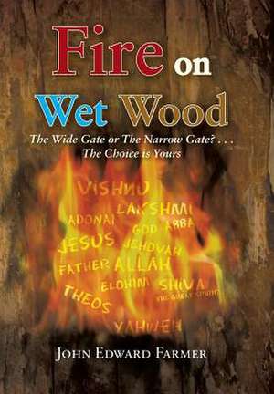 Fire on Wet Wood de John Edward Farmer