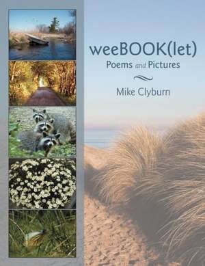 Weebook(let) de Mike Clyburn