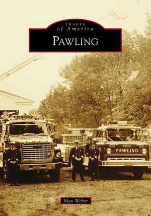 Pawling de John Weber