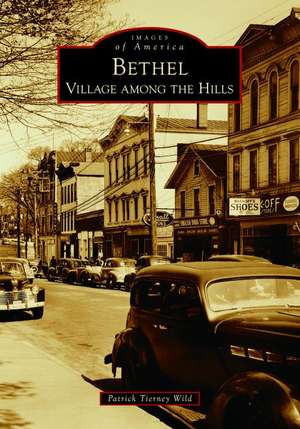 Bethel de Patrick Tierney Wild