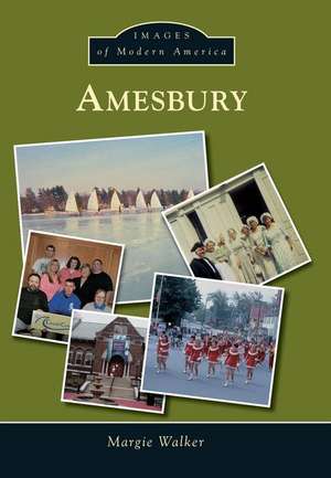 Amesbury de Margie Walker