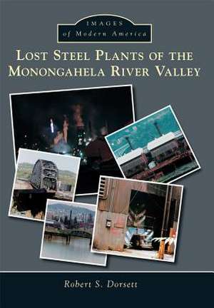 Lost Steel Plants of the Monongahela River Valley de Robert S. Dorsett