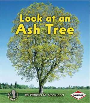 Look at an Ash Tree de Patricia M. Stockland