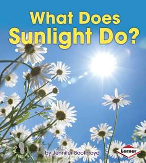 What Does Sunlight Do? de Jennifer Boothroyd