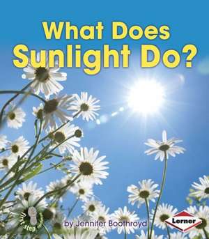 What Does Sunlight Do? de Jennifer Boothroyd