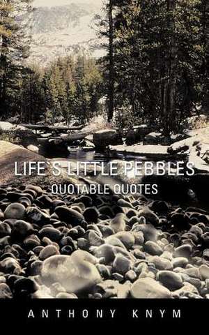 Lifes Little Pebbles de Anthony Knym