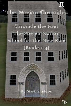 The Steven Noricin School for the New Race de Mark Sheldon