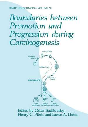 Boundaries between Promotion and Progression during Carcinogenesis de Oscar Sudilovsky