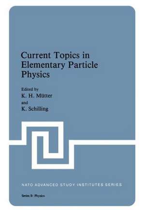 Current Topics in Elementary Particle Physics de K. H. Mutter