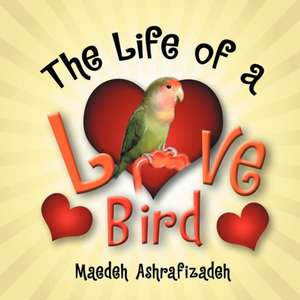 The Life of a Lovebird de Maedeh Ashrafizadeh