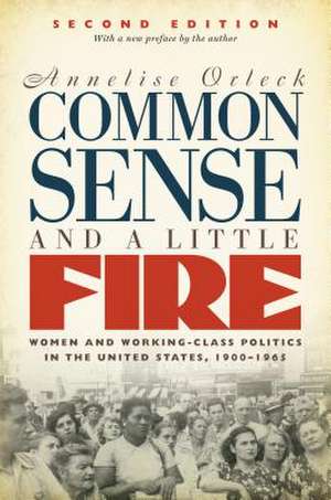 Common Sense and a Little Fire de Annelise Orleck