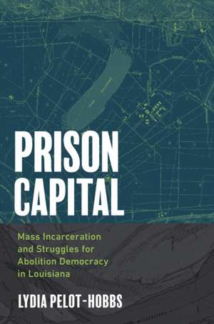 Prison Capital de Lydia Pelot-Hobbs